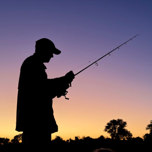 Amanzi-Zambezi-tiger-fishing-at-dawn